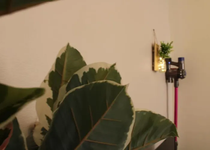 Lägenhet T2 Calme & Pratique A